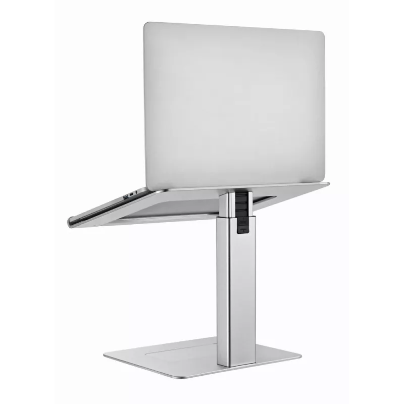Suporte para portátil Gembird NBS-D1-02 Prateado 39,6 cm (15,6 polegadas)
