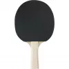 Conjunto de ténis de mesa Friends, equipamento de fitness para 4 jogadores