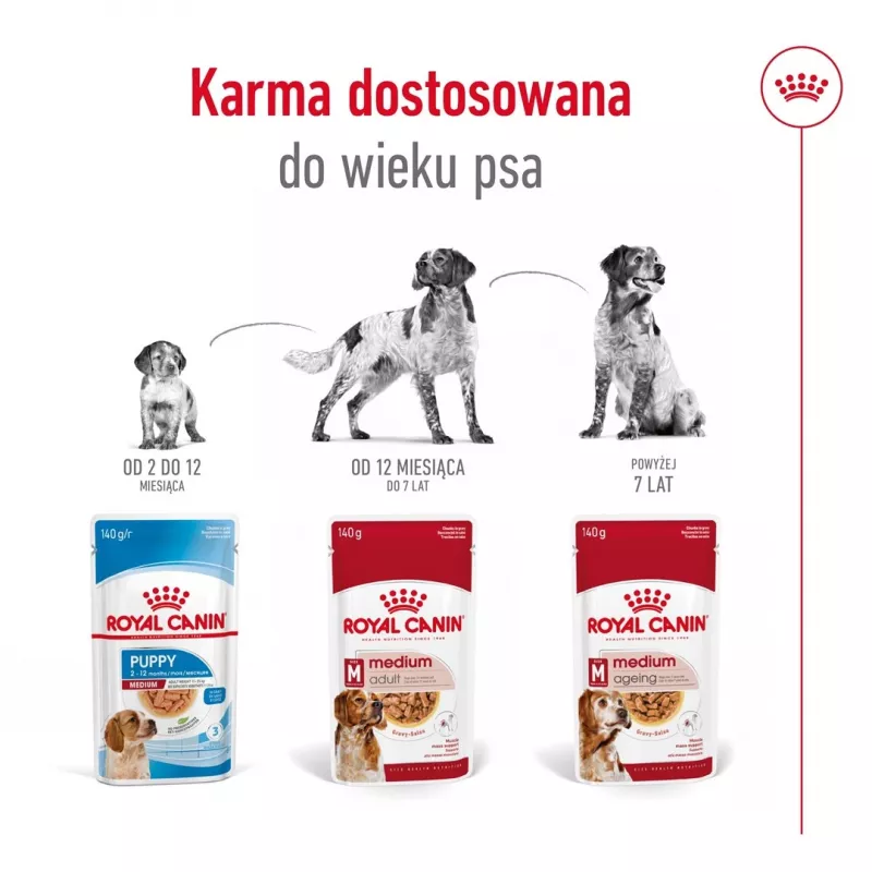 ROYAL CANIN SHN Medium Adult in Sauce - Comida húmida para cães adultos - 10x140g