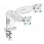 ONKRON G160-W Suporte de secretária giratório e inclinável para dois monitores de 13-32 polegadas, até 8 kg, branco