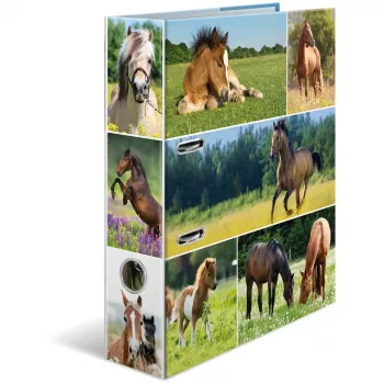 Dossier HERMA 19251 A4 multicolorido com anéis D 285x315 mm