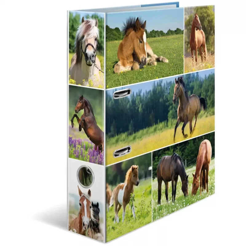 Dossier HERMA 19251 A4 multicolorido com anéis D 285x315 mm