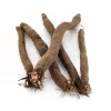 Sementes de hortícolas Schwarzwurzel Duplex Toraf, pacote 2g