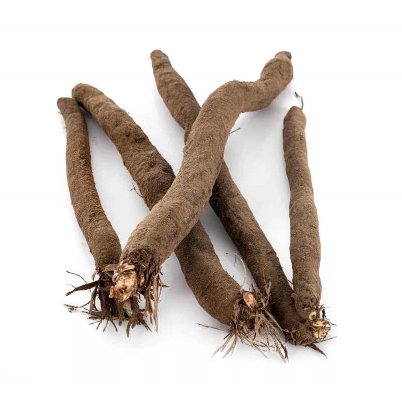 Sementes de hortícolas Schwarzwurzel Duplex Toraf, pacote 2g