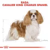 Comida seca para cães Royal Canin Cavalier King Charles Adult 1,5 kg — frango, raça pequena, pele e pelo, apoio cardíaco