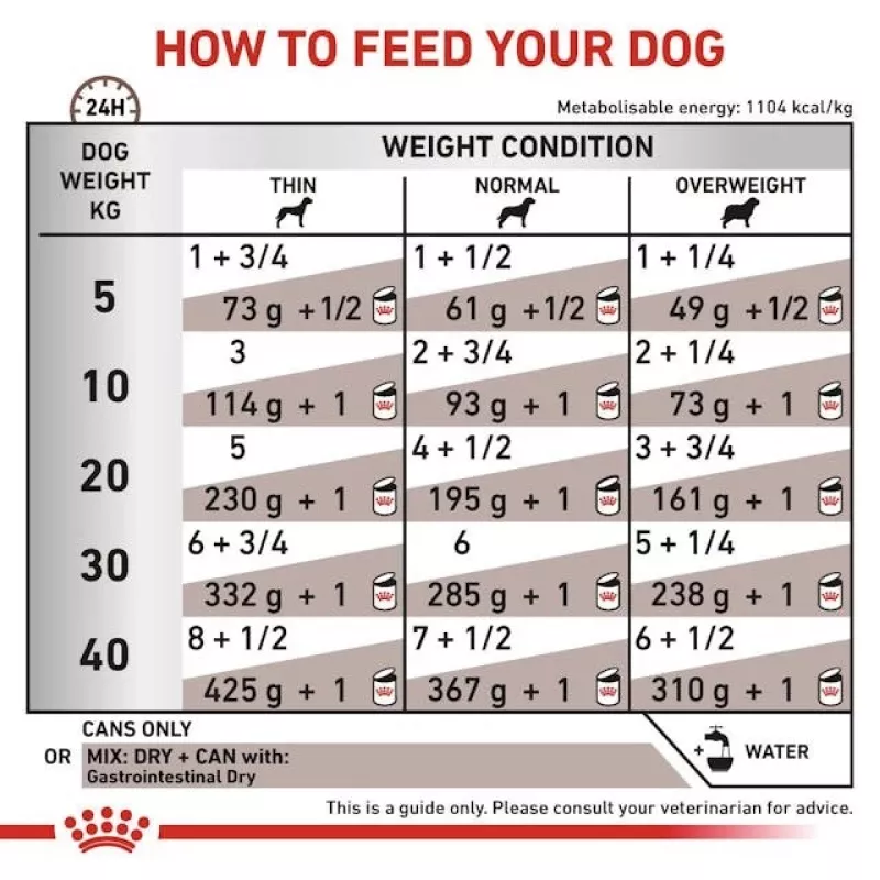 Alimento dietético húmido Royal Canin Gastro Intestinal 200 g — cães adultos, aves, suporte digestivo