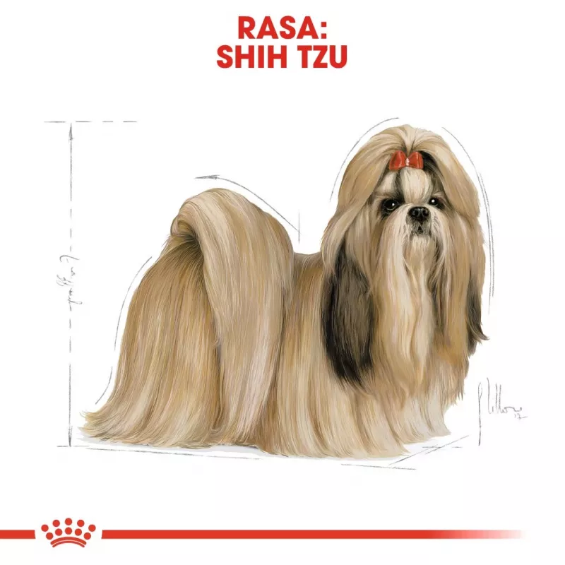 Ração seca para cães Royal Canin Shih Tzu Adult 1,5 kg — aves, 24% proteína, 20% gordura, para Shih Tzu adultos de raça pequena