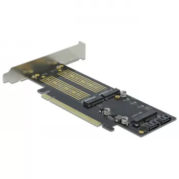 DeLOCK - Controlador de memória - mSATA, M.2 - M.2 Card / mSATA Low-Profile - SATA 6Gb/s, PCIe 4,0 x16 (90486)