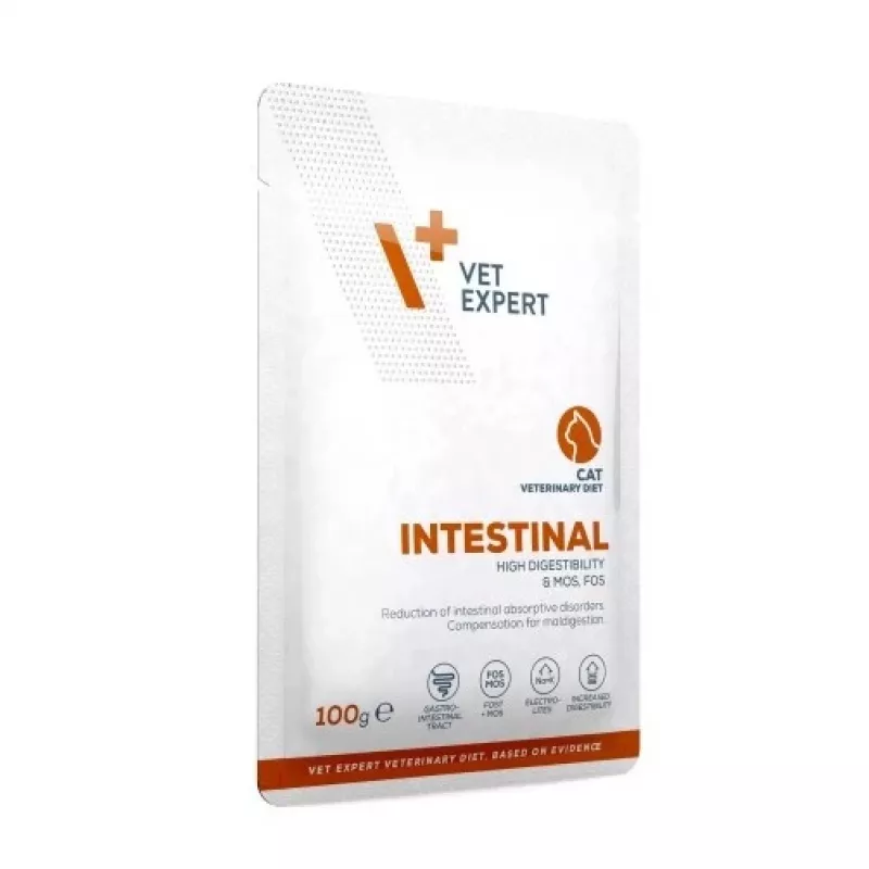 VetExpert Veterinary Diet Intestinal Cat alimento húmido para gatos 100 g