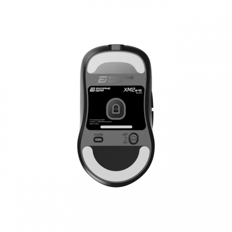 Rato Endgame Gear XM2w 4k Wireless