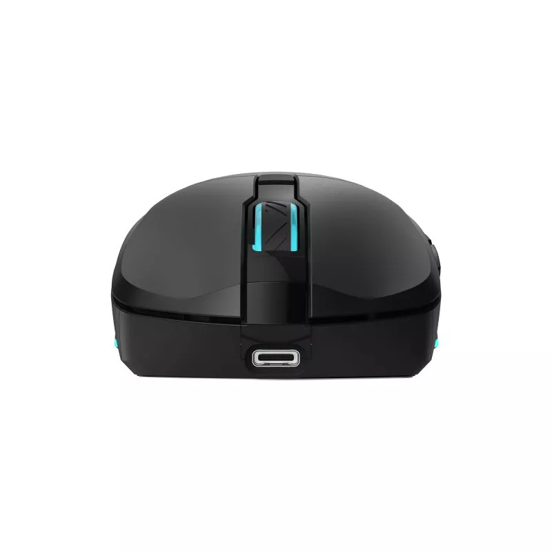 Rato Baracuda BGM-121 Turtle preto USB