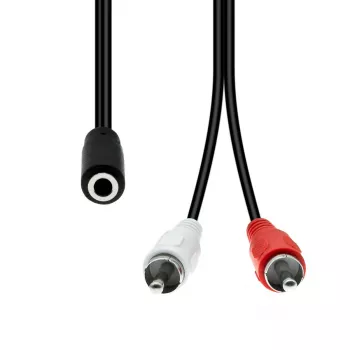 Cabo de áudio ProXtend M3F2XRCA-002 — 3 pinos (Mini XLR) para 2×RCA, 1,5 m