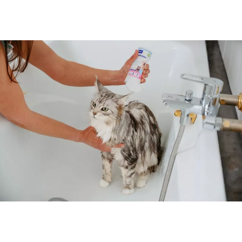 Champô VIRBAC AllerDerm para pele sensível de cães e gatos 250 ml