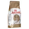 Royal Canin Sphynx Adult alimento seco para gatos, 2 kg