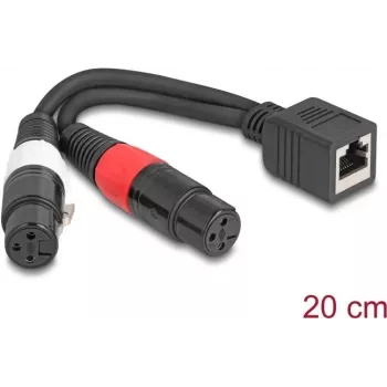 Cabo de áudio DeLOCK 88178 0,2 m RJ-45 2 x XLR (3 pinos) preto