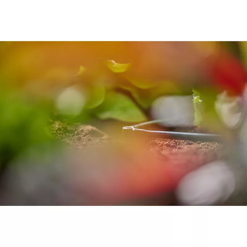 Conector Gardena peça em L sistema de rega gota a gota plástico