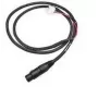 Intermec - Cabo de alimentação - para Honeywell CN80, Dolphin CT50, Intermec 751, CK61, CN2A, CN2B, CN2G, CN3, CN3A, CN3e, CN3F (226-109-003)