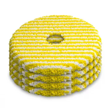 Conjunto de esfregonas para KARCHER RVM 4 (2.269-130.0) amarelo, branco