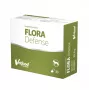 VetFood Flora Defense probiótico para cães e gatos 30 cápsulas