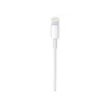 Cabo Apple USB-C para Lightning (1 m)