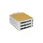 Fantec SNT-BA2131-2 - S-ATA 2x 13,30cm (5,25) para 3x1 HDD bege (2007)