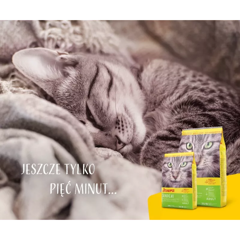 Josera SensiCat alimento seco para gatos 2 kg Adult fígado