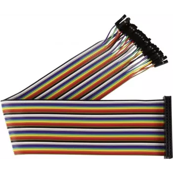 Cabo de ligação Joy-it Raspberry Pi® multicolor RB-CB2-30 Raspberry Pi® (RB-CB2-30)