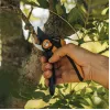 Tesoura de jardim de bypass Fiskars Plus SmartFit P541 preta, laranja