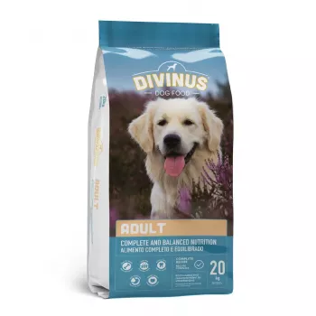 Ração seca para cães DIVINUS Adult 20 kg — Aves, 23 % proteína, 8 % gordura, 3 % fibra bruta, adequado para cães adultos de todas as raças