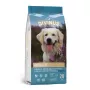 Ração seca para cães DIVINUS Adult 20 kg — Aves, 23 % proteína, 8 % gordura, 3 % fibra bruta, adequado para cães adultos de todas as raças
