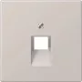 Jung Placa de cobertura cinza-claro para tomada IAE/UAE LS 969-1 UA LG (LS969-1UALG)