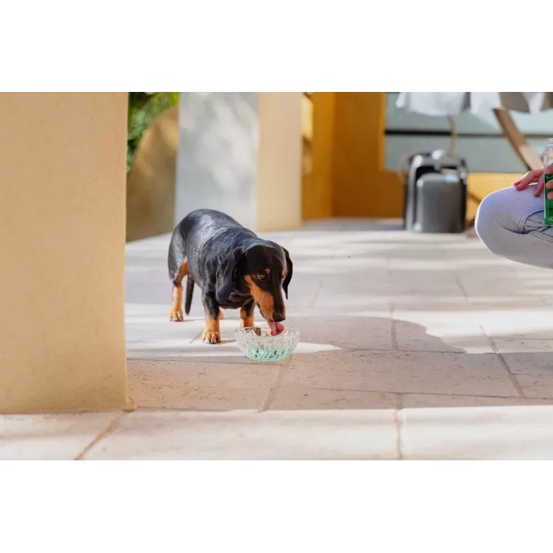 Solução de higiene oral VIRBAC Aquadent líquido de higiene oral 500 ml para animais de estimação