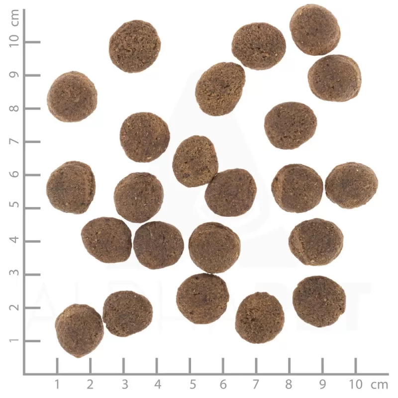 Comida seca para cães Wolfsblut VetLine Gastrointestinal pato 2 kg — dieta veterinária para apoiar a digestão, 20 % proteína, 10 % gordura