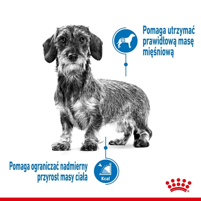 Royal Canin CCN MINI LIGHT WEIGHT CARE - Ração seca para cães adultos - 3 kg