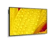 NEC MultiSync M651-2 design quiosque 165,1 cm (65 polegadas) LED 500 cd/m² 4K Ultra HD Preto Processador integrado
