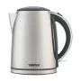 Chaleira elétrica Zelmer ZCK7930 1,7 l 2200 W prateado