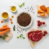RAW PALEO Ultra Medium&Large Adult vaca - Comida seca para cães - 10 kg