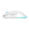 Rato Baracuda BGM-122 Turtle branco TURTLE-W