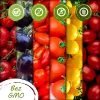 Conjunto de sementes de tomate Toraf Eden – 8 embalagens