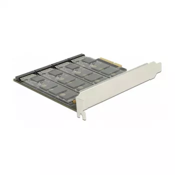 Placa de interface DeLOCK 89888