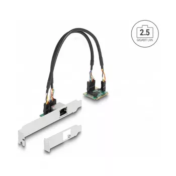 DeLOCK 95271 Placa de rede interna 2500 Mbit/s Mini PCI Express