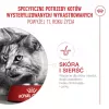 Comida seca para gatos Royal Canin FHN Ageing 11+ 4 kg — alimento completo para gatos idosos, aves, 30% proteína