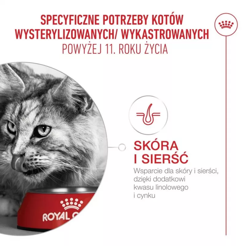 Comida seca para gatos Royal Canin FHN Ageing 11+ 4 kg — alimento completo para gatos idosos, aves, 30% proteína