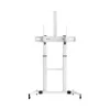 Suporte de chão Sbox FS-3610 para televisores LED ultra-grandes 60-100 100kg branco