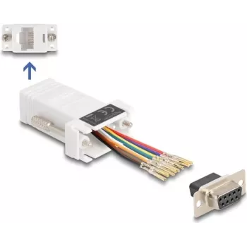 DeLOCK D-Sub 9 pinos fêmea para RJ45 fêmea kit de montagem branco VGA RJ-45