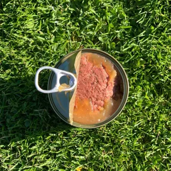 Comida húmida para cães OLLO Pure vaca e estômago verde 400 g lata — adulto, proteína 14,5 %, gordura 11,9 %, humidade 69 %