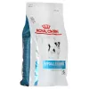 Royal Canin Hypoallergenic Small Dog Adult comida para cães, 3,5 kg