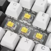Teclado Sharkoon SGK50 S4 Home USB QWERTZ alemão branco RGB LED 60%