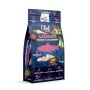 SYTA MICHA Chef Salmão, Pastinaca e Morango - Alimento seco para cães - 9kg