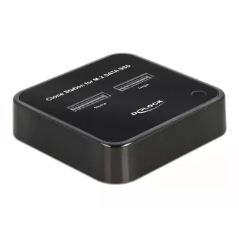 Docking station DeLOCK 64178 USB 3.2 Gen 2 Type-C SSD M.2